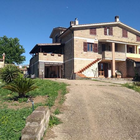 La Tana Di Stefano Hotel Anguillara Sabazia Exterior foto